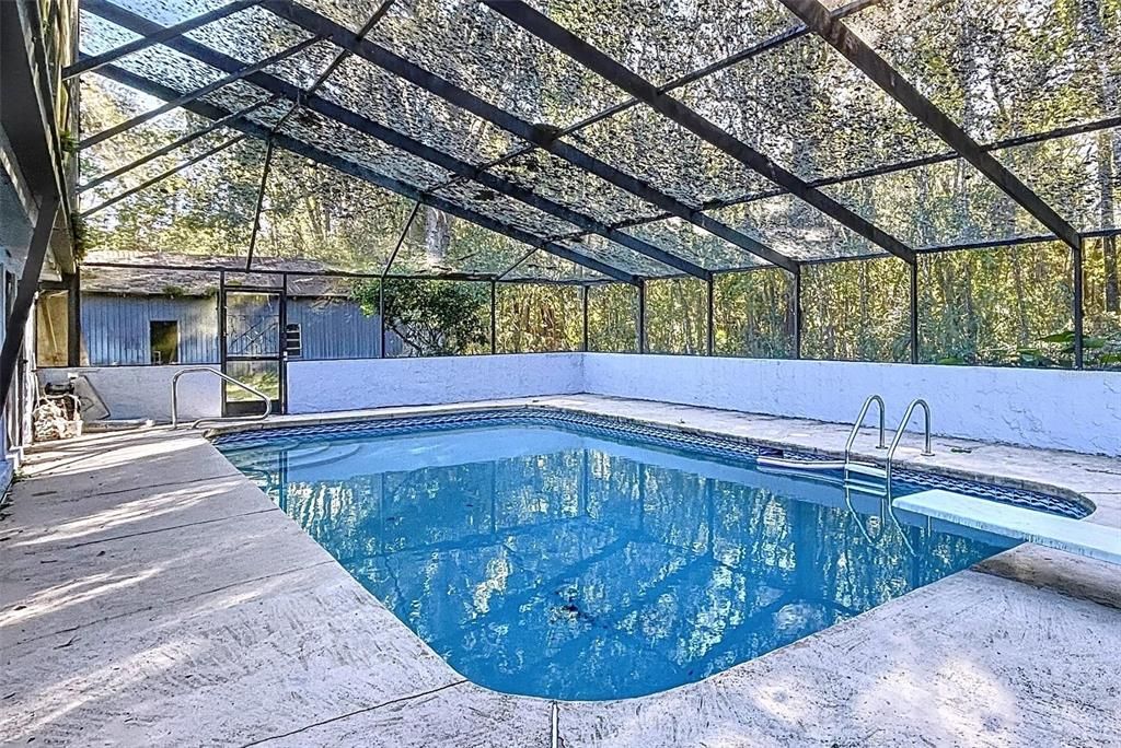 Glass Ceilings, Interior, Pool, Sun Room