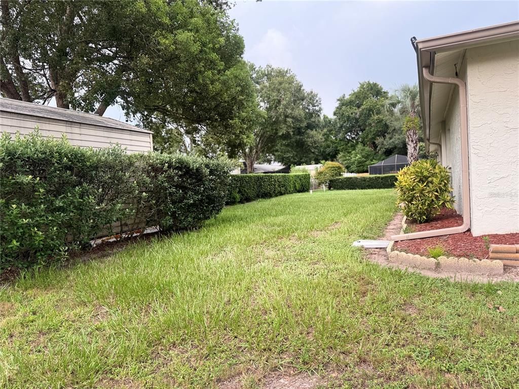 Backyard, Exterior