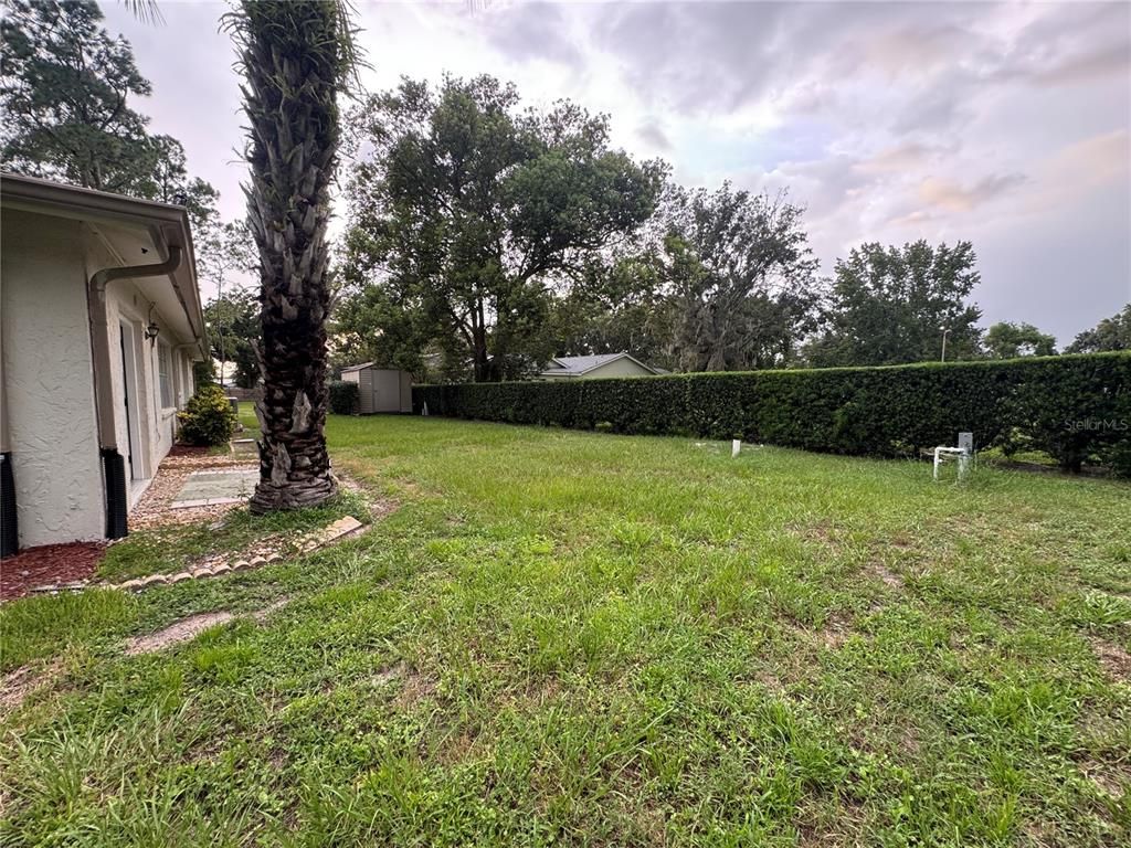Backyard, Exterior