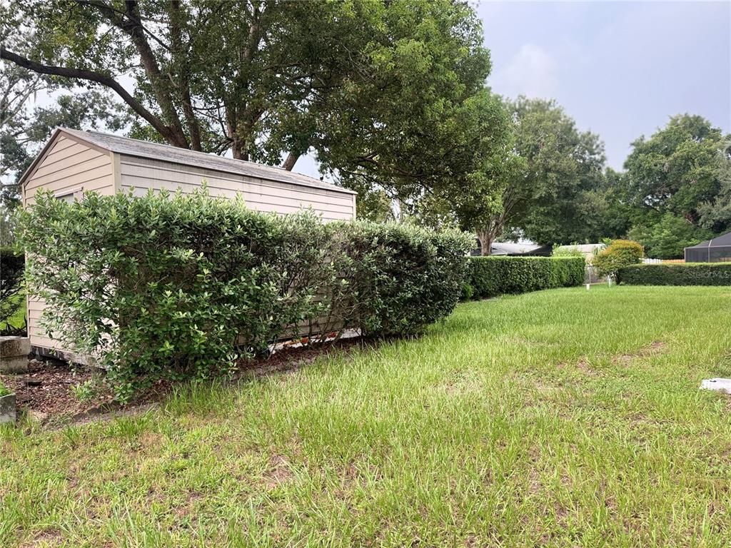 Backyard, Exterior