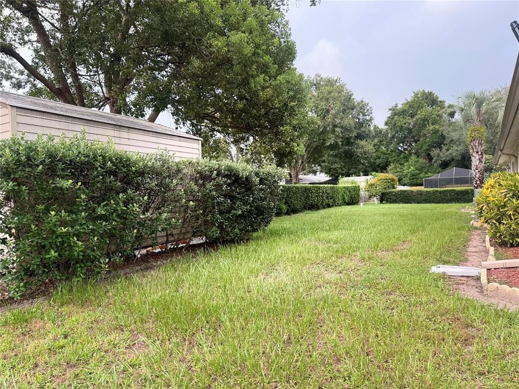 Backyard, Exterior