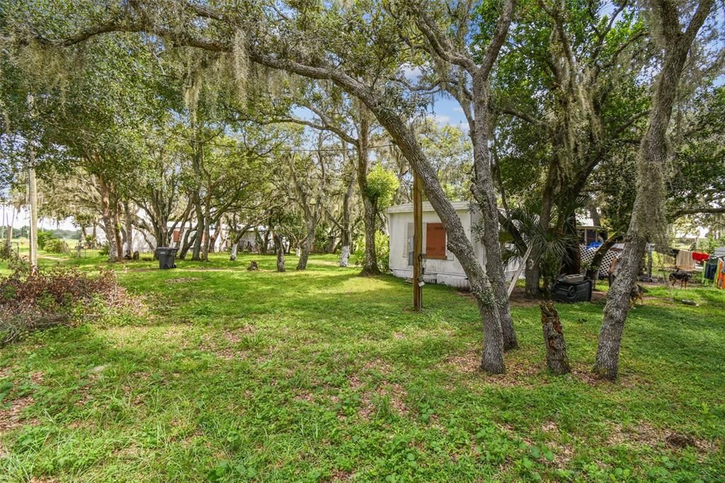 Backyard, Detached Garage, Exterior