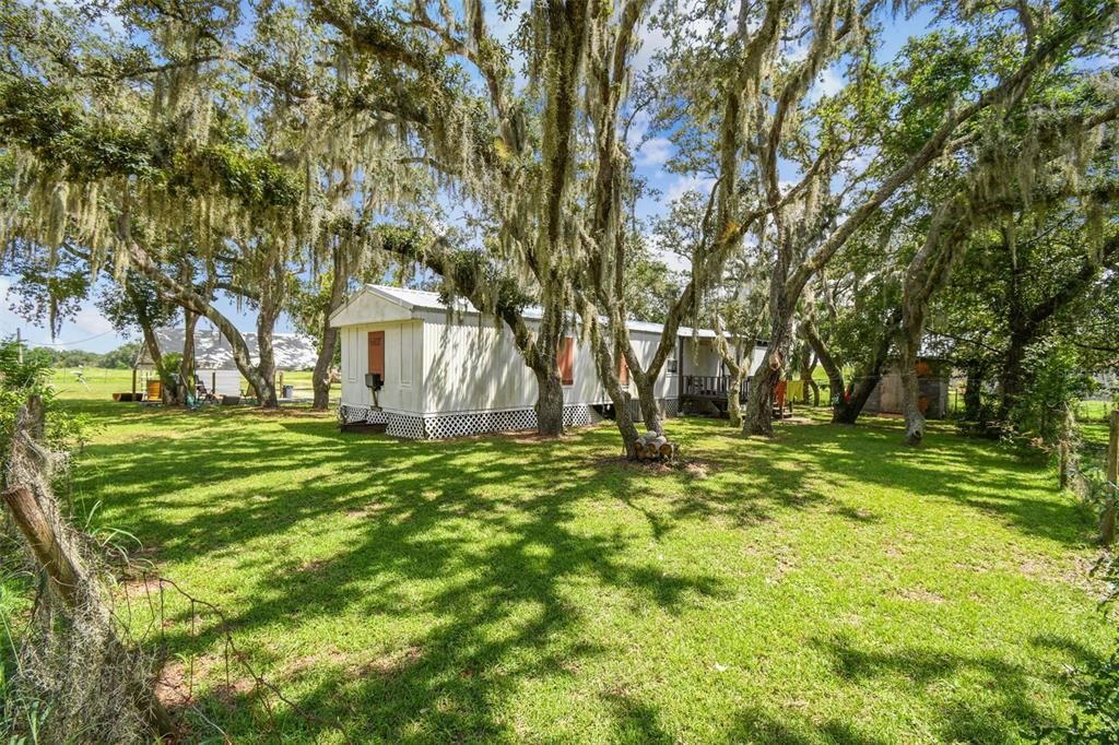 Backyard, Exterior