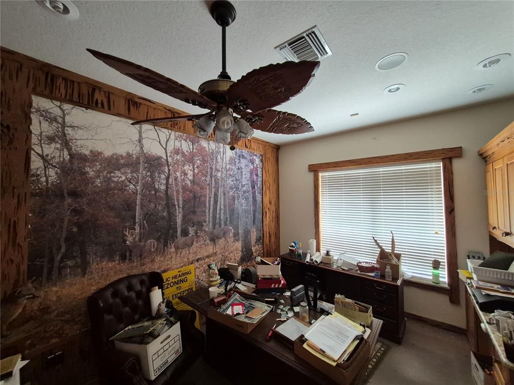 Home Office, Interior, Recessed Lighting