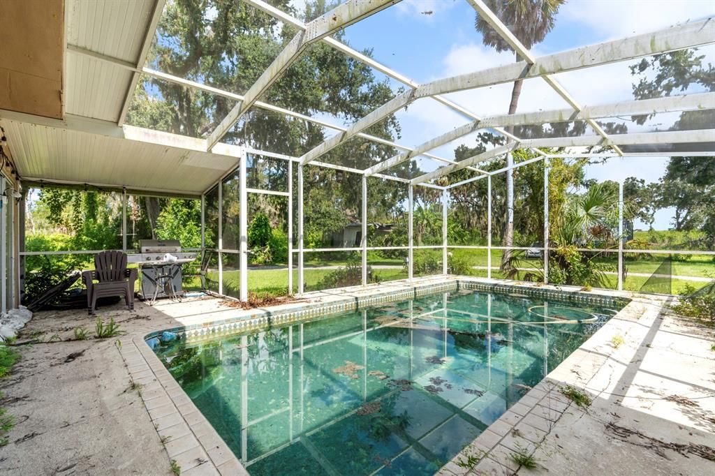 Glass Ceilings, Interior, Pool, Sun Room