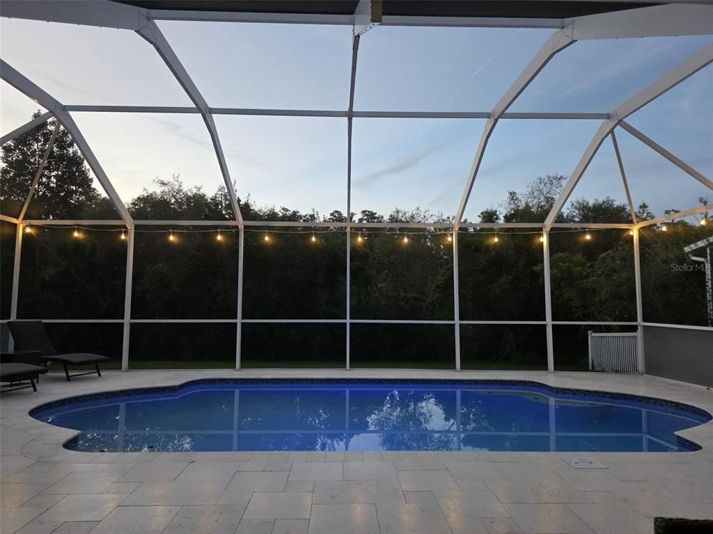 Glass Ceilings, Interior, Pool, Sun Room