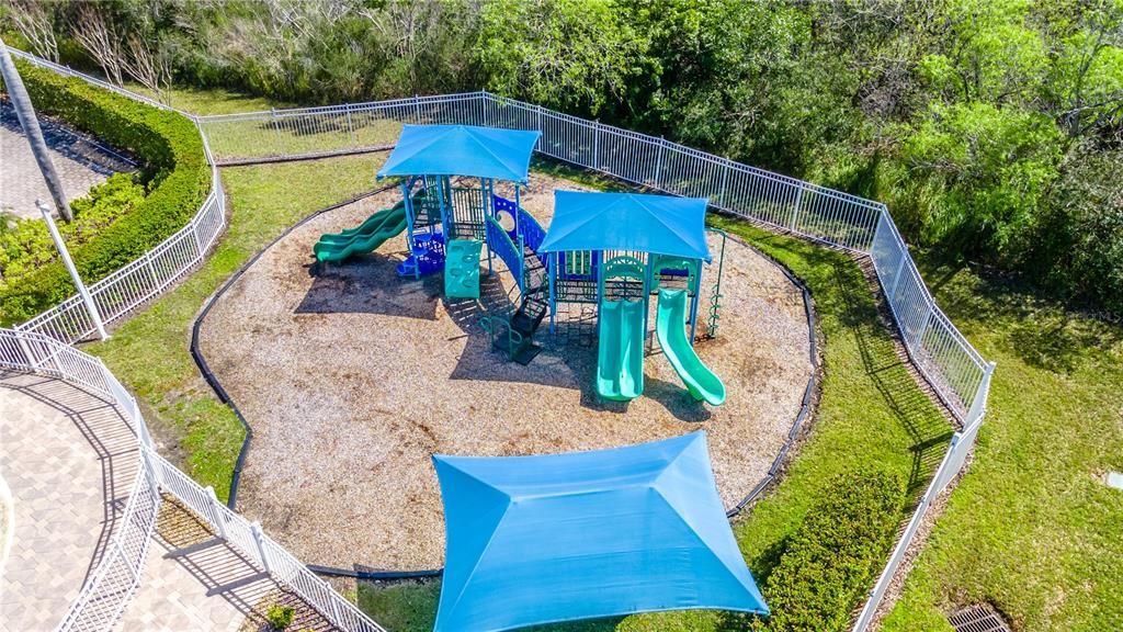 Backyard, Exterior, Playground