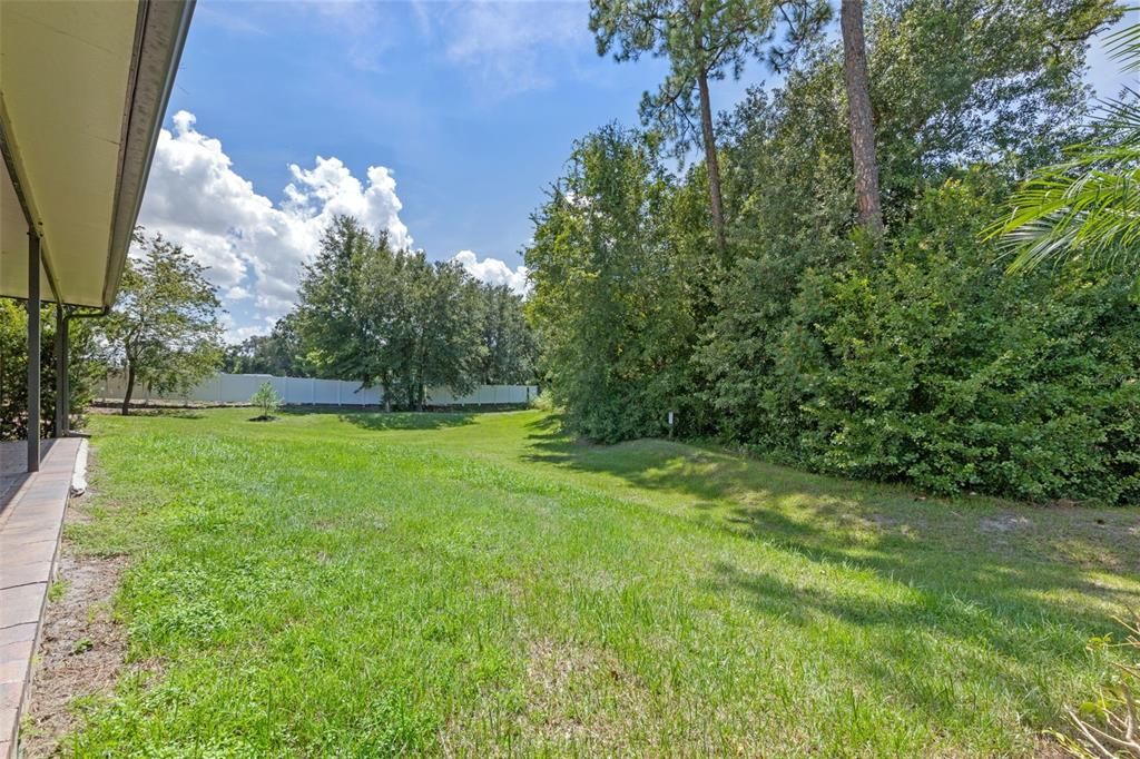 Backyard, Exterior