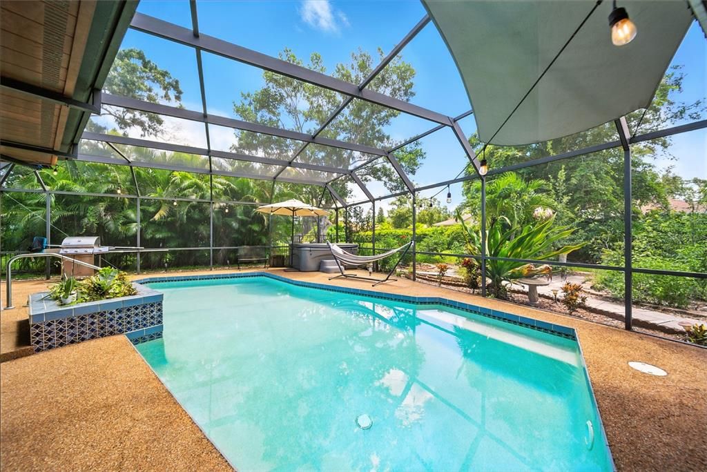Glass Ceilings, Interior, Pool, Sun Room