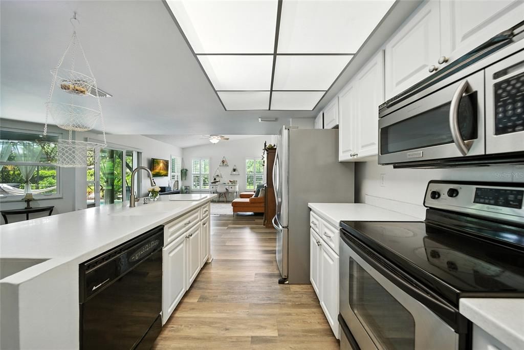 Interior, Kitchen, Stainless Steel Appliances, Wood Texture Flooring