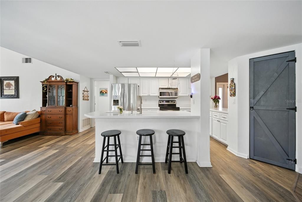 Interior, Kitchen, Stainless Steel Appliances, Wood Texture Flooring