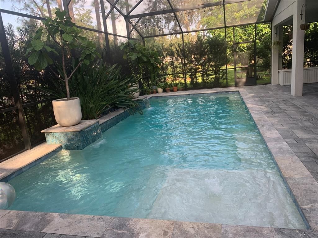 Glass Ceilings, Interior, Pool, Sun Room