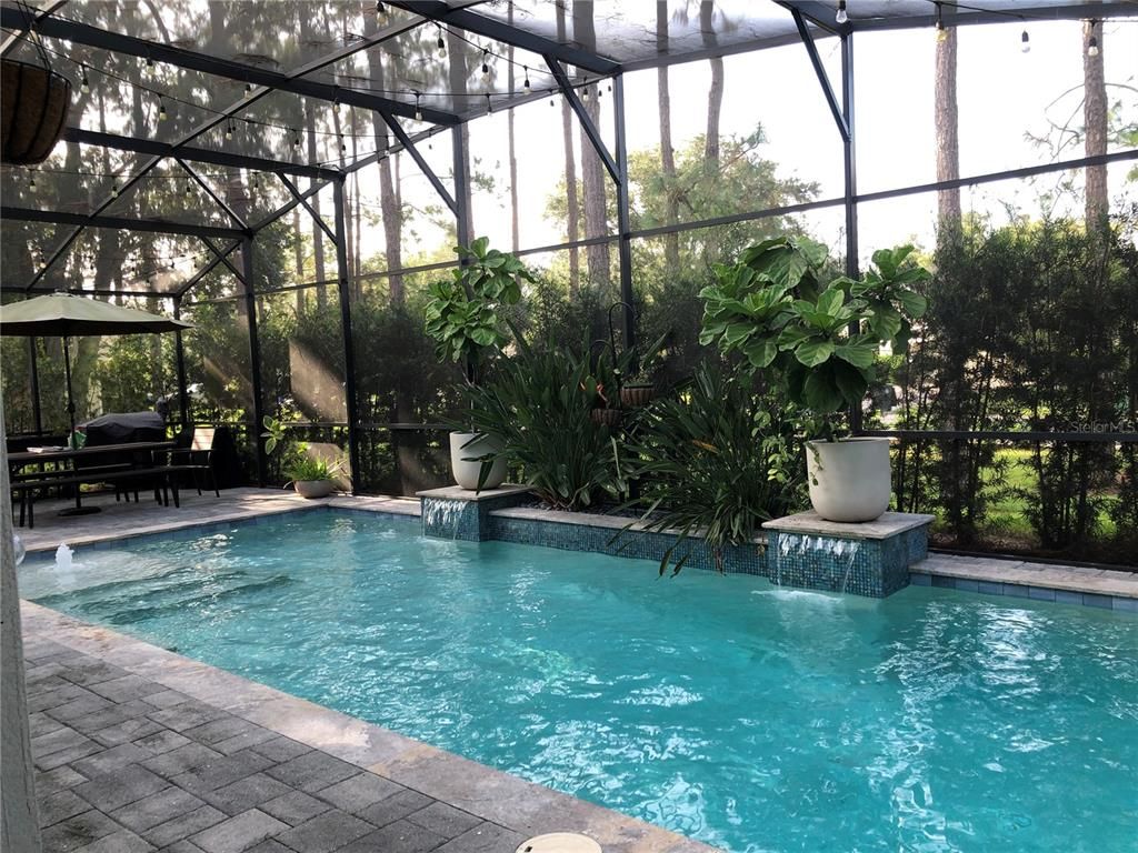 Glass Ceilings, Interior, Pool, Sun Room