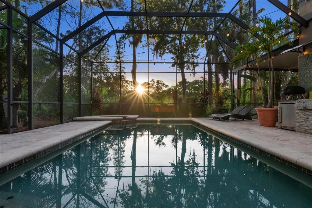 Glass Ceilings, Interior, Pool, Sun Room