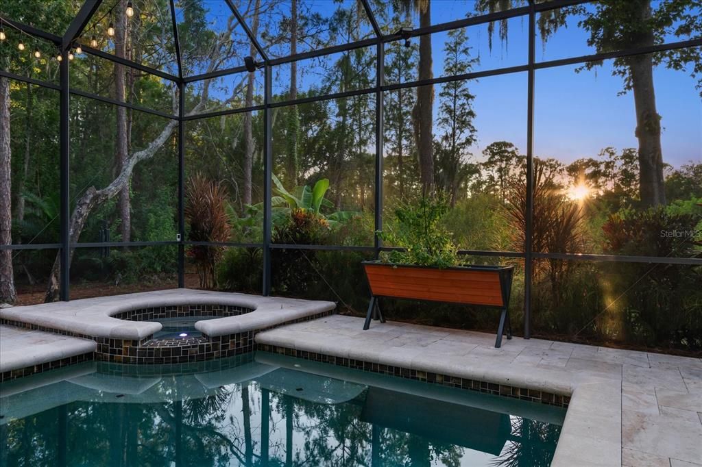 Glass Ceilings, Interior, Pool, Sun Room
