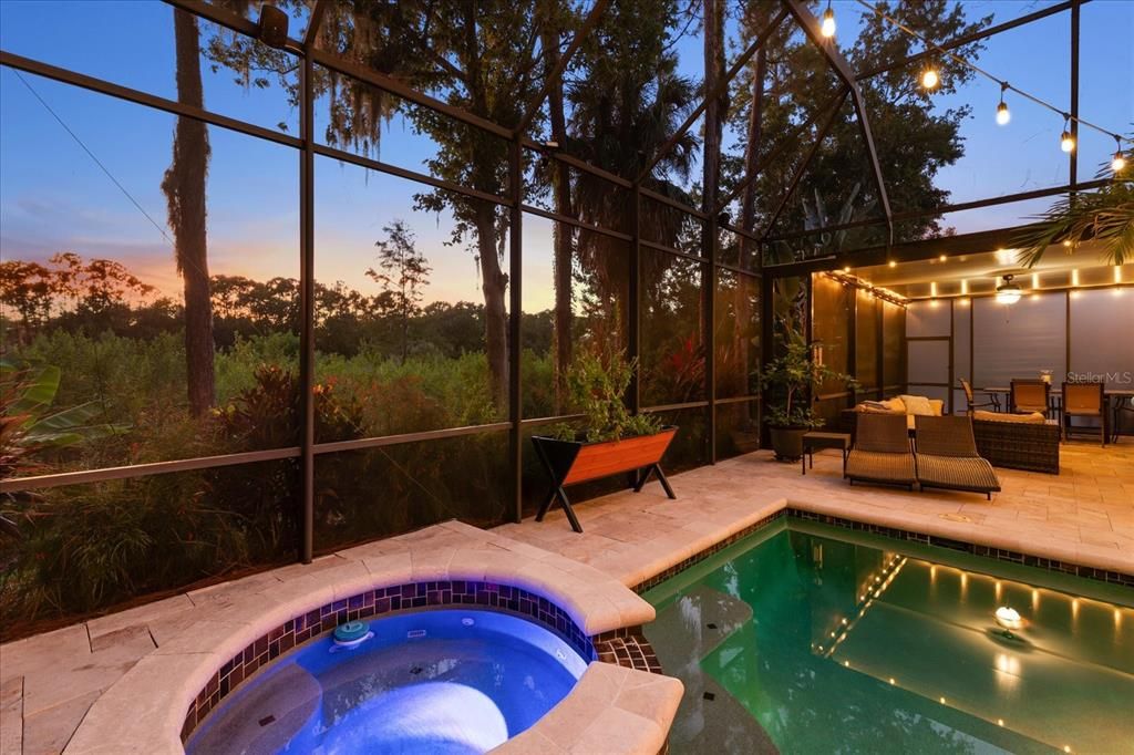 Glass Ceilings, Interior, Pool, Sun Room