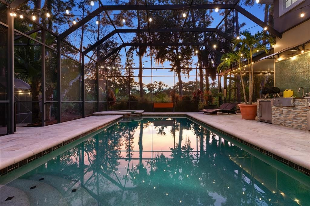Glass Ceilings, Interior, Pool, Sun Room