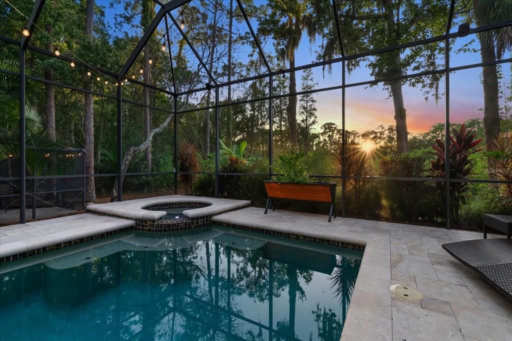 Glass Ceilings, Interior, Pool, Sun Room
