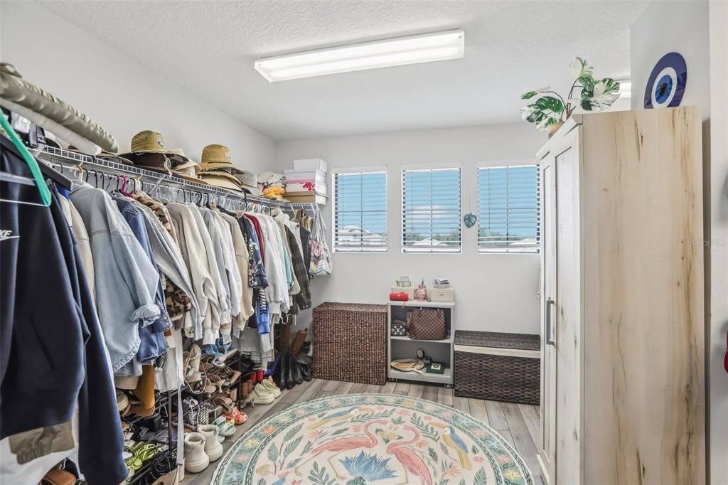 Interior, Walk-in Closets, Wood Texture Flooring