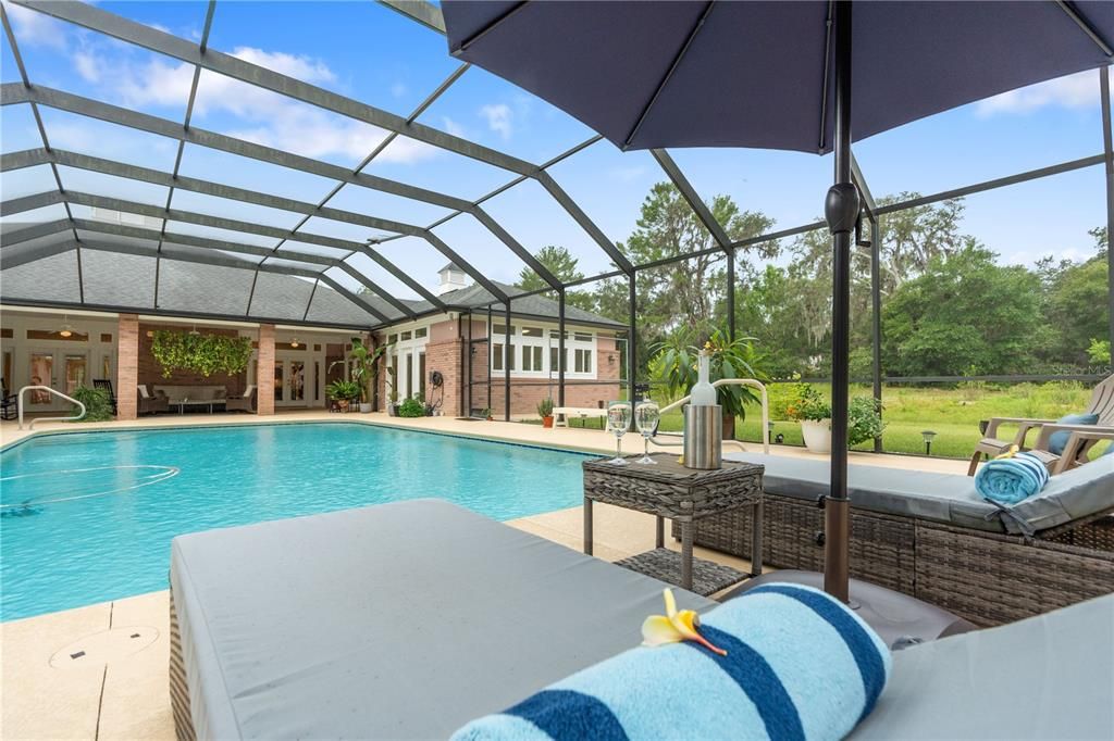 Glass Ceilings, Interior, Pool, Sun Room
