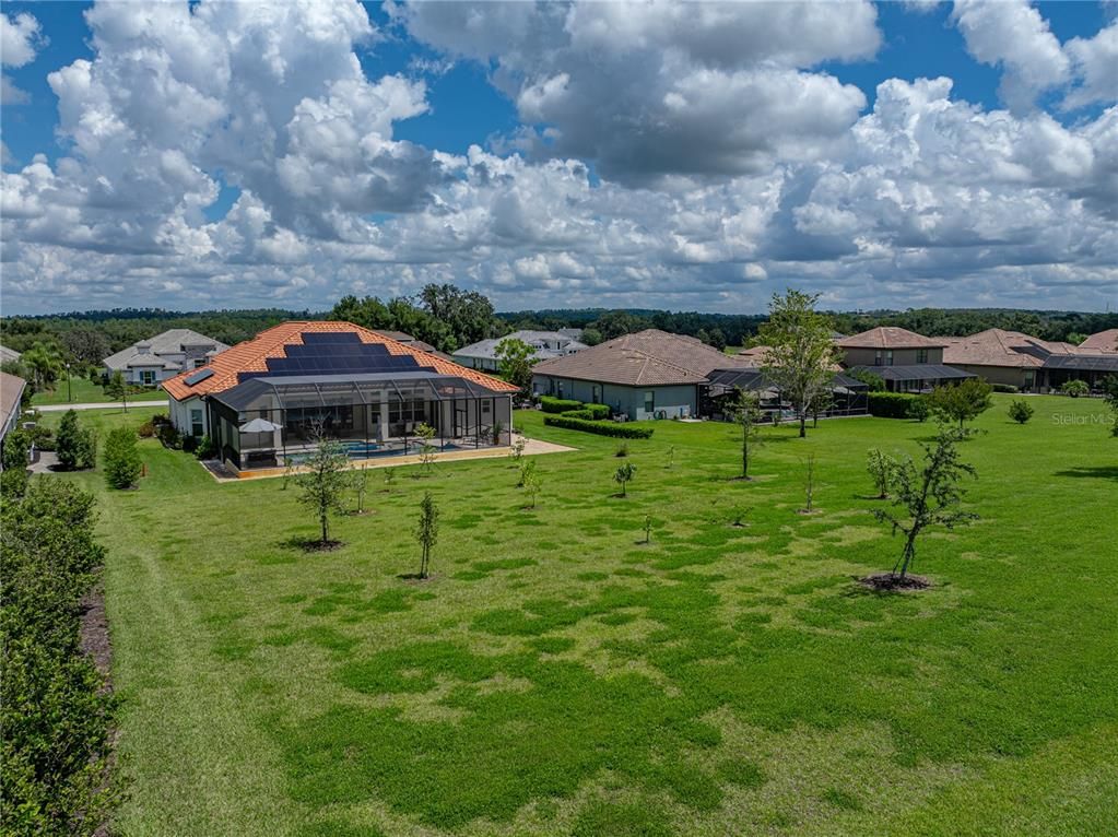 Backyard, Exterior, Solar Panels