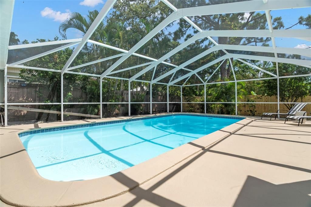 Glass Ceilings, Interior, Pool, Sun Room