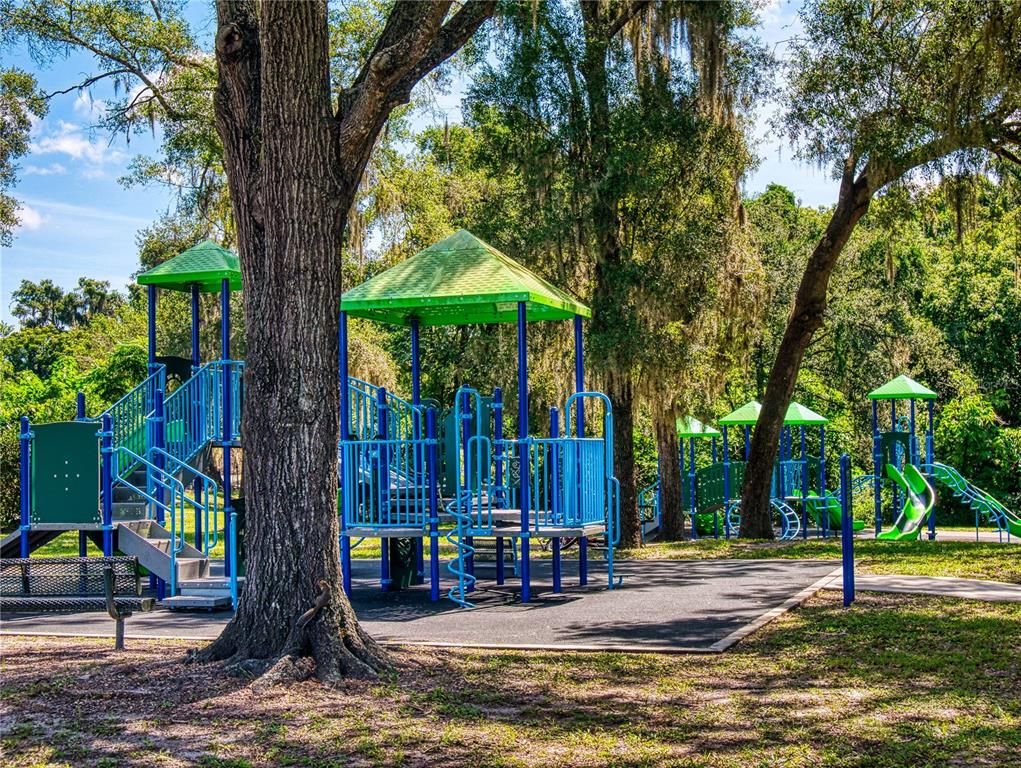 Backyard, Exterior, Playground