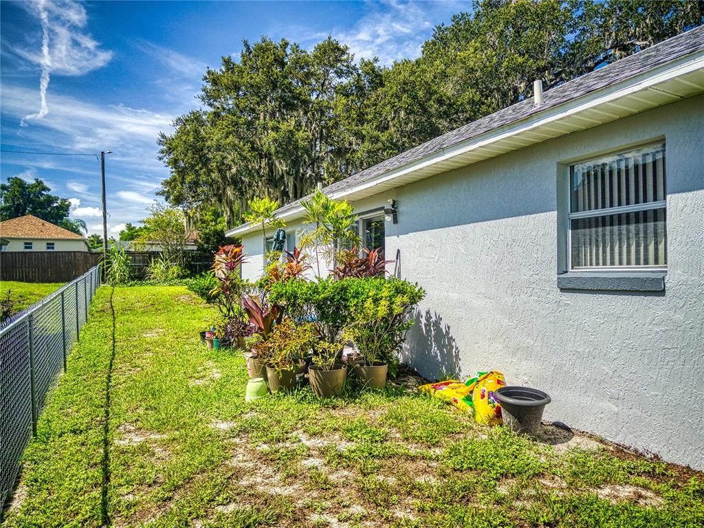 Backyard, Exterior