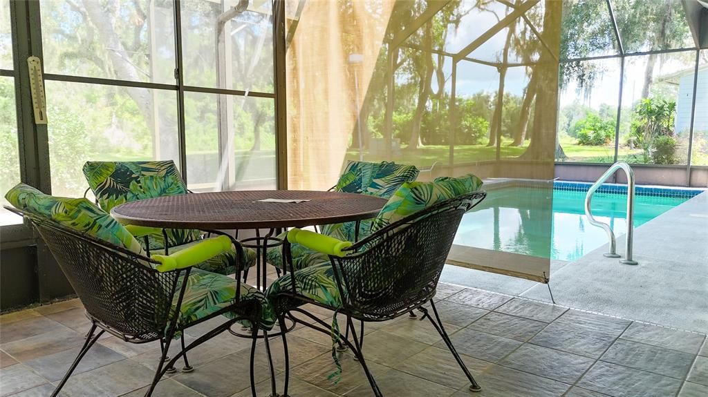 Glass Ceilings, Interior, Pool, Sun Room