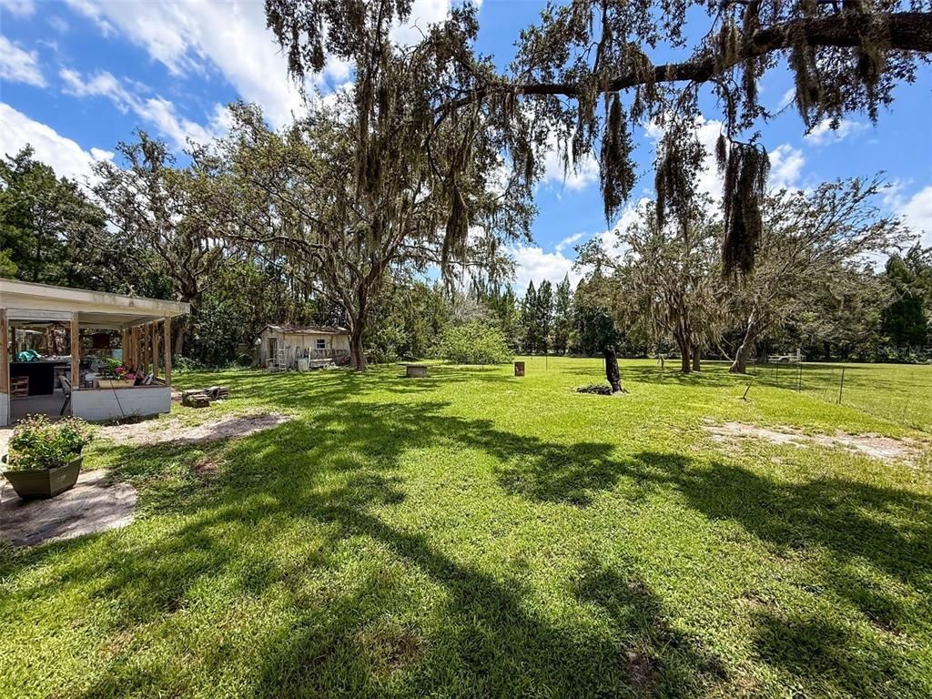 Backyard, Exterior