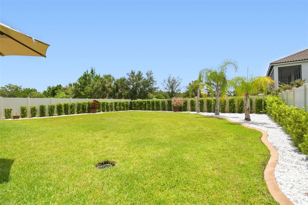 Backyard, Exterior