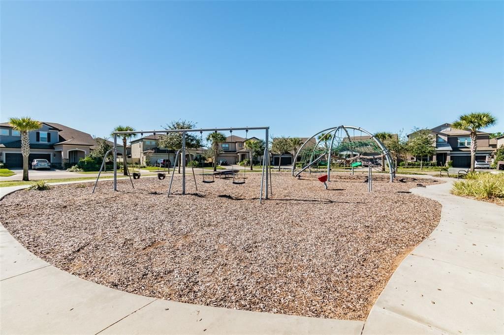 Backyard, Exterior, Playground