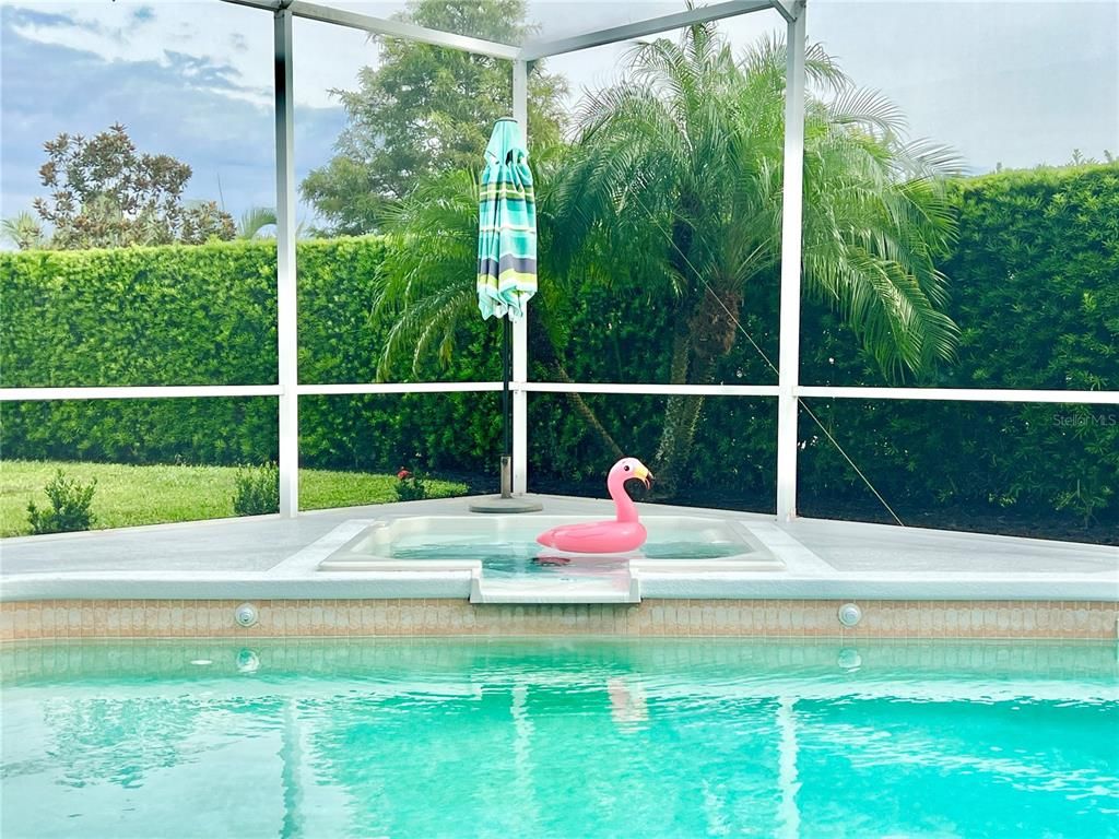 Interior, Pool, Sun Room