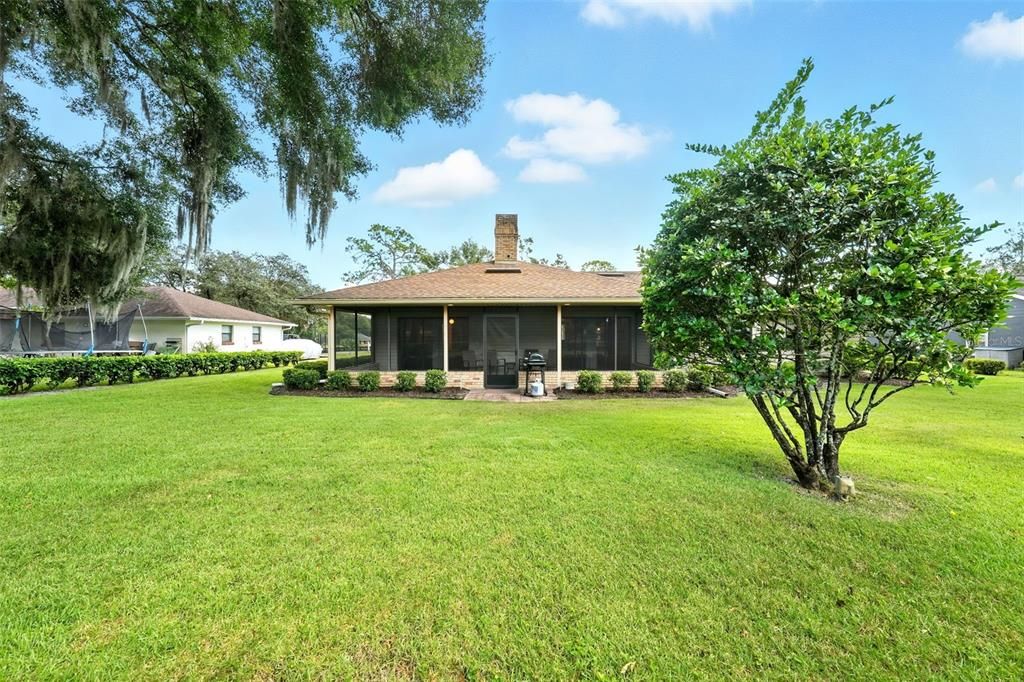 Backyard, Exterior