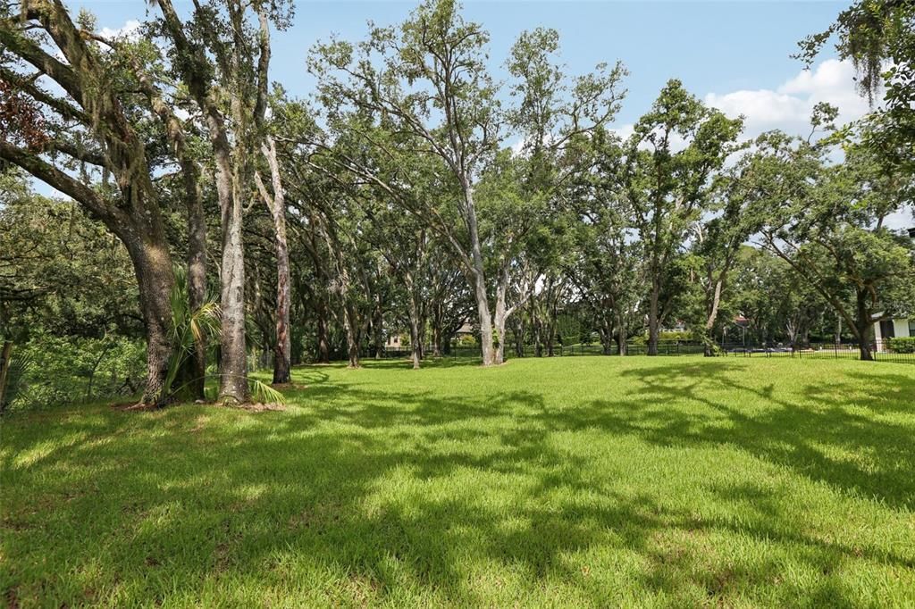 Backyard, Exterior