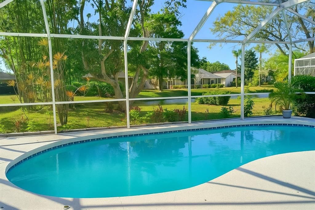 Glass Ceilings, Interior, Pool, Sun Room