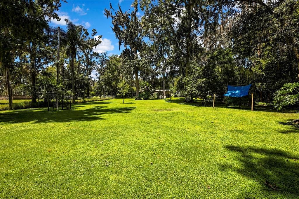 Backyard, Exterior, Playground