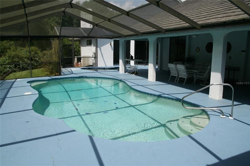 Glass Ceilings, Interior, Pool, Sun Room