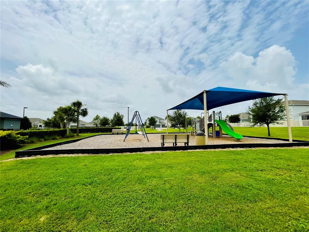 Backyard, Exterior, Playground