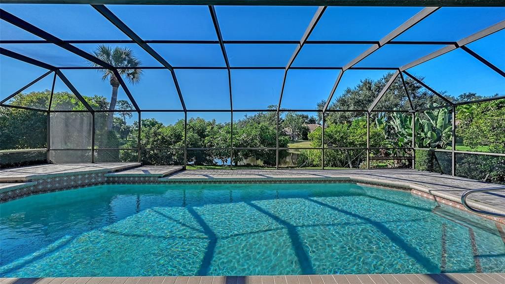 Glass Ceilings, Interior, Pool, Sun Room