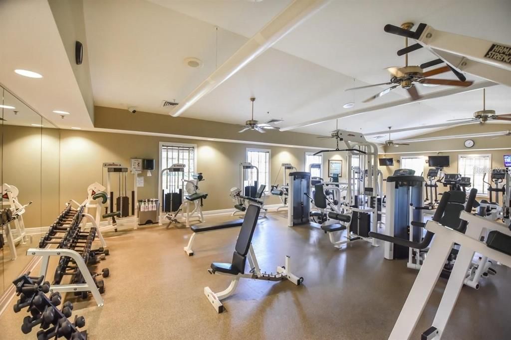 Fitness Equipment, Gym, Interior, Recessed Lighting
