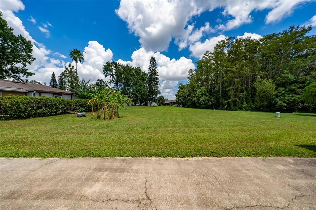 Backyard, Exterior