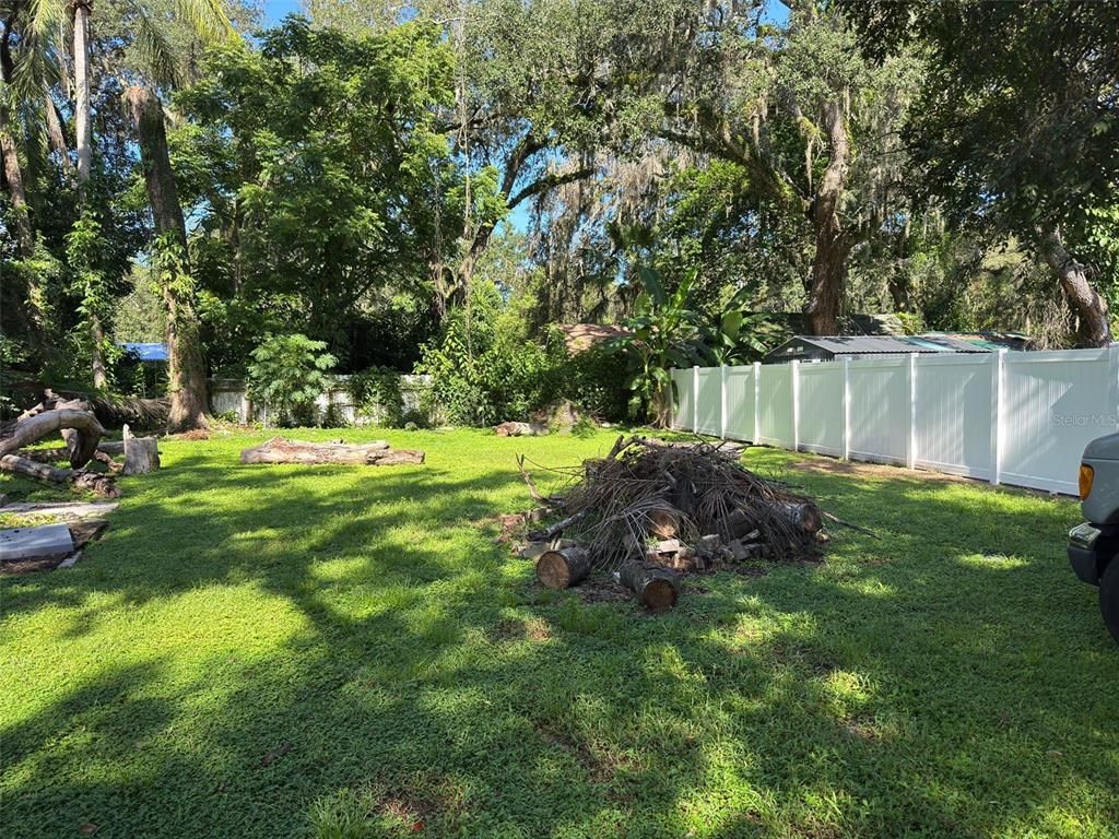 Backyard, Exterior