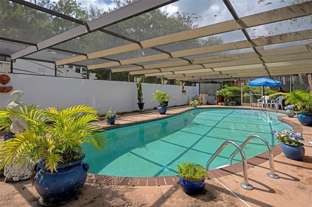 Glass Ceilings, Interior, Pool, Sun Room
