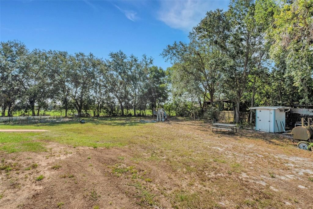 Backyard, Exterior