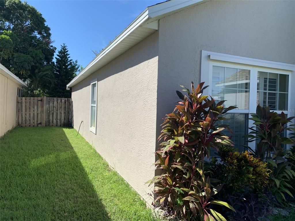 Backyard, Exterior