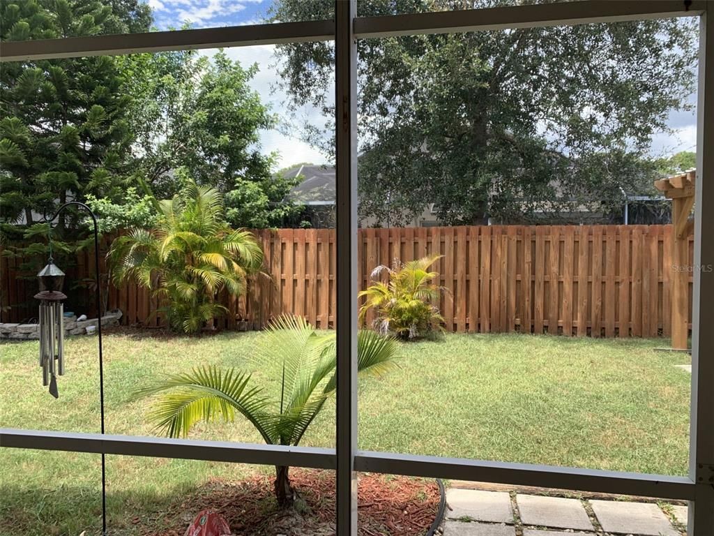 Backyard, Exterior