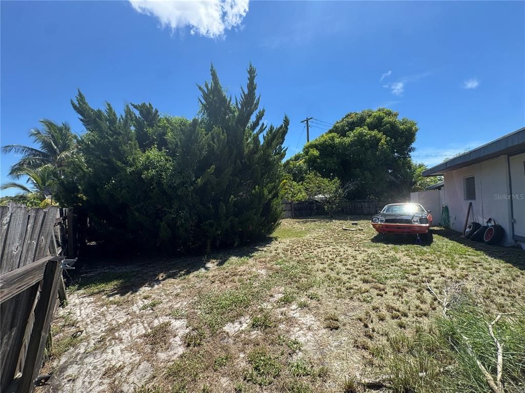 Backyard, Exterior