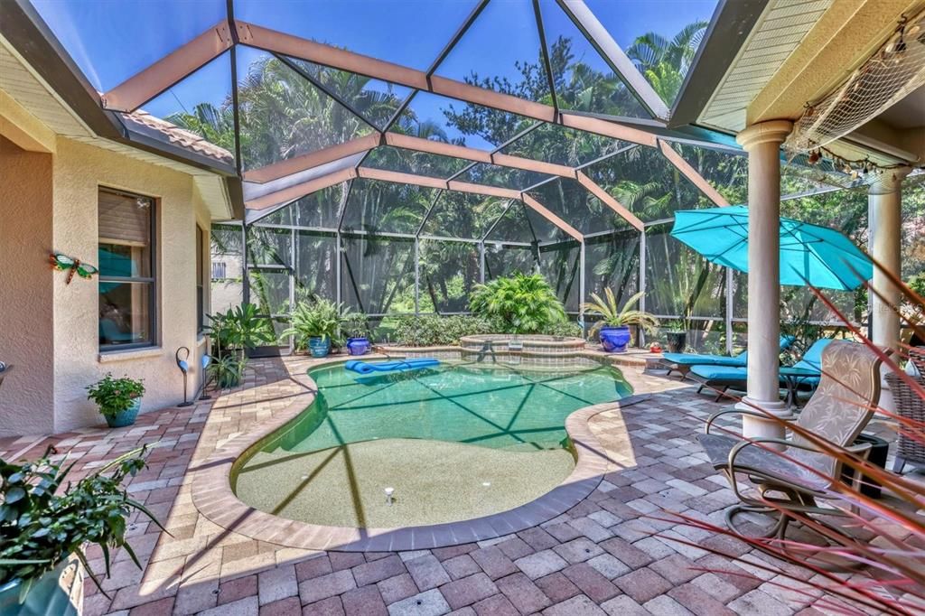 Glass Ceilings, Interior, Pool, Sun Room