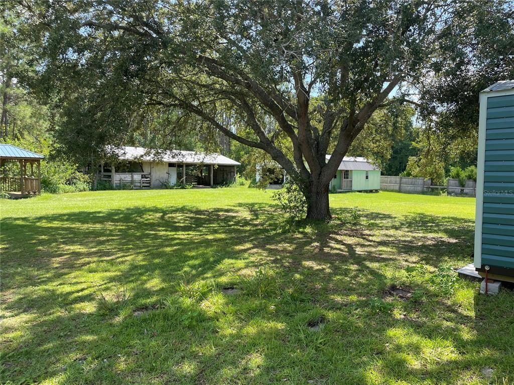 Backyard, Exterior